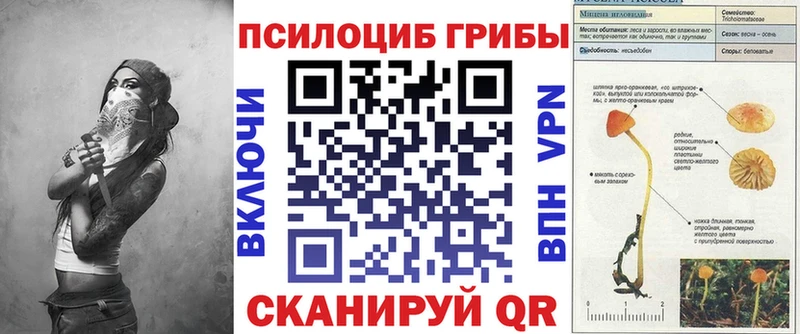Псилоцибиновые грибы GOLDEN TEACHER нарко площадка клад Люберцы