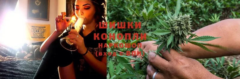 Каннабис White Widow  Люберцы 